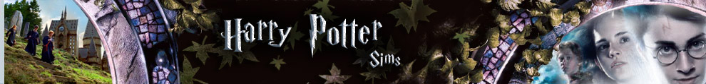 ...Harry Potter SIMS...